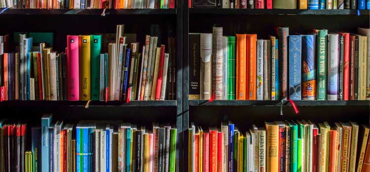 books on a bookcase